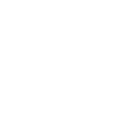 Sirona Internal Assistant
